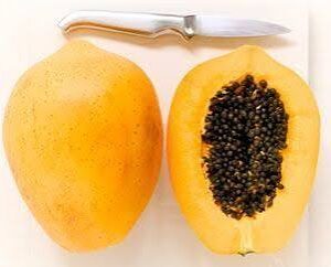 Papaya